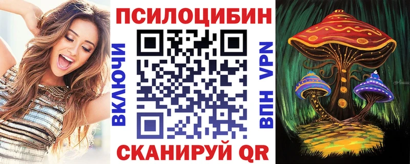 наркотики  Моздок  Галлюциногенные грибы ЛСД 